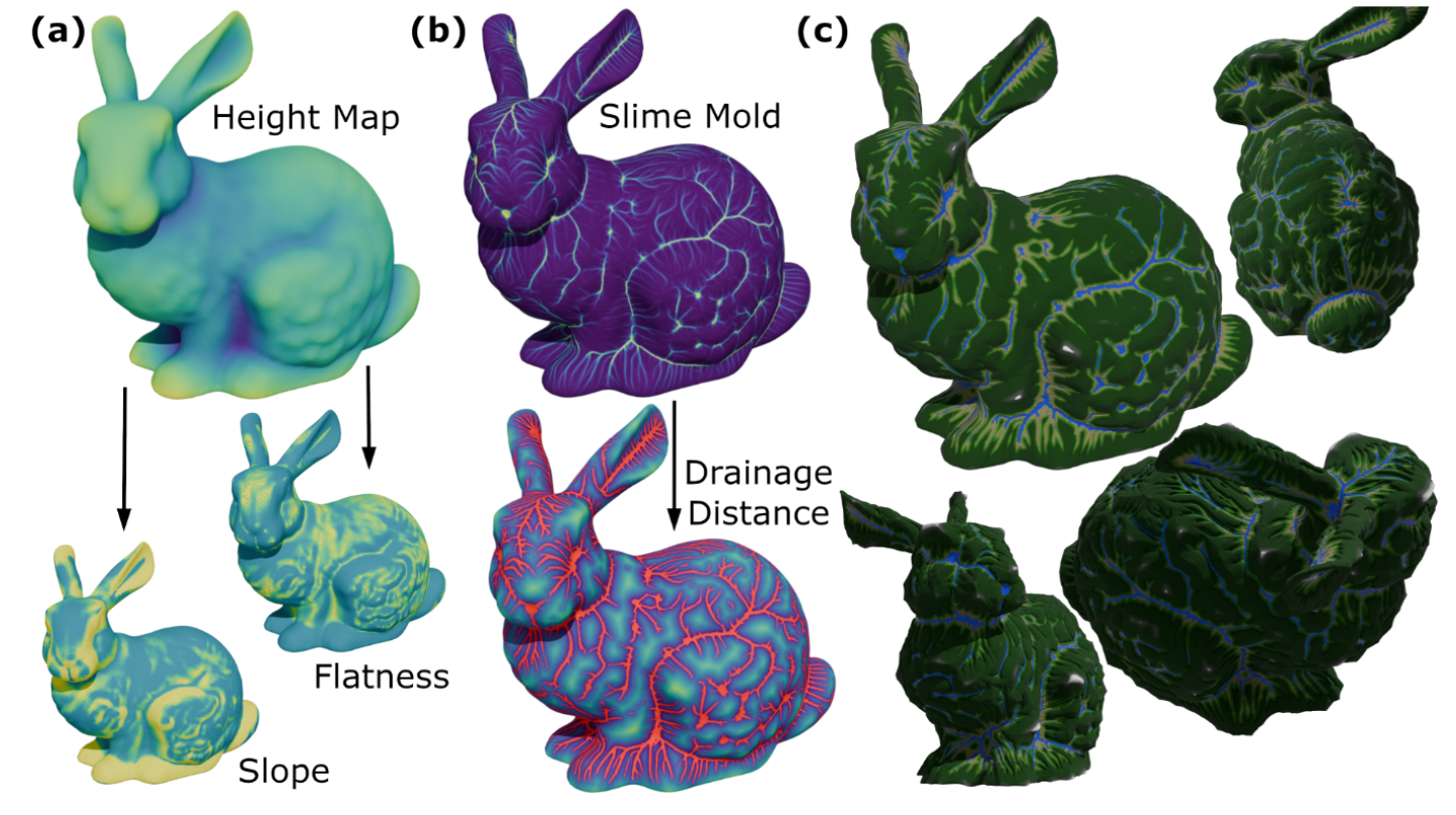 Controllable Intrinsic Surface Pattern Generation Using Slime Mold ...